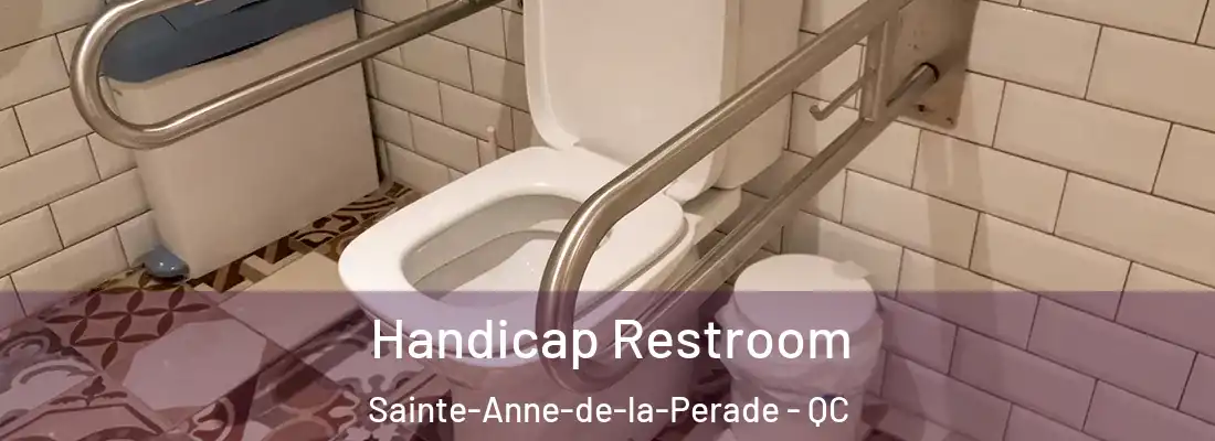  Handicap Restroom Sainte-Anne-de-la-Perade - QC