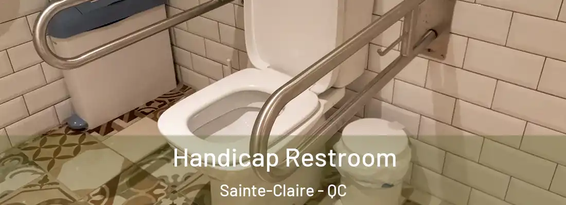 Handicap Restroom Sainte-Claire - QC