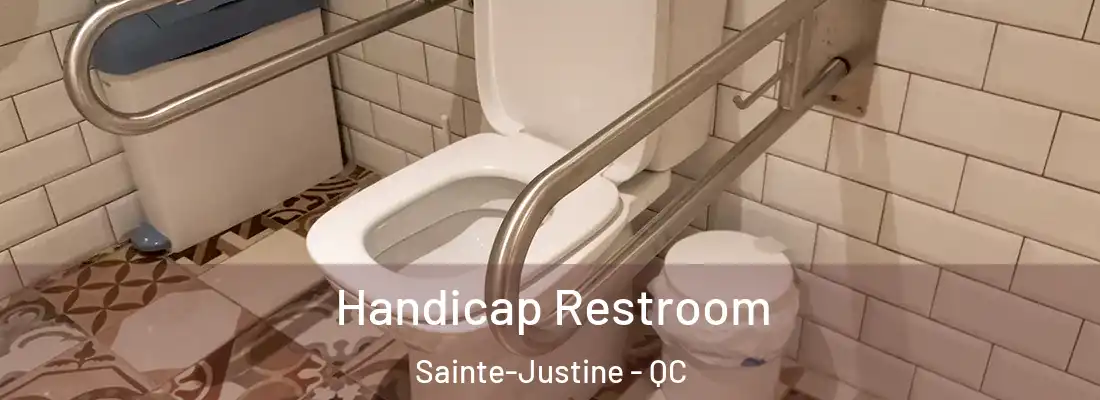 Handicap Restroom Sainte-Justine - QC