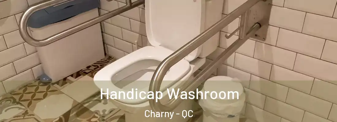 Handicap Washroom Charny - QC