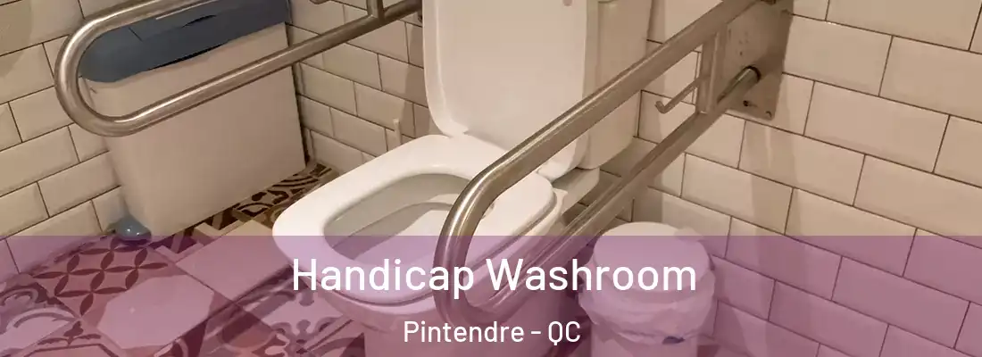 Handicap Washroom Pintendre - QC
