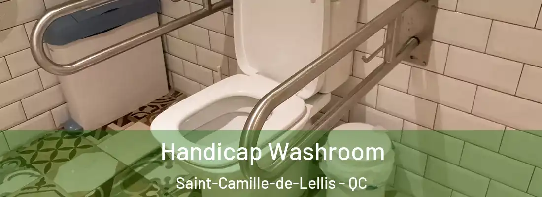  Handicap Washroom Saint-Camille-de-Lellis - QC
