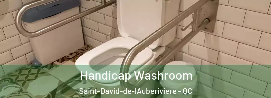 Handicap Washroom Saint-David-de-lAuberiviere - QC