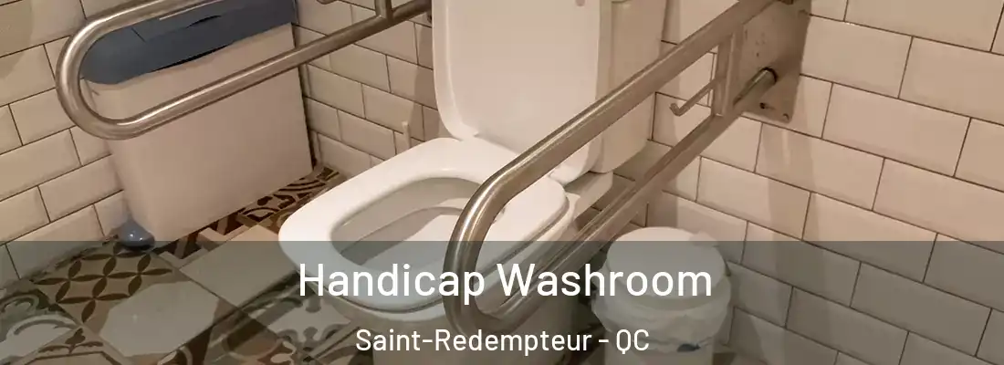  Handicap Washroom Saint-Redempteur - QC