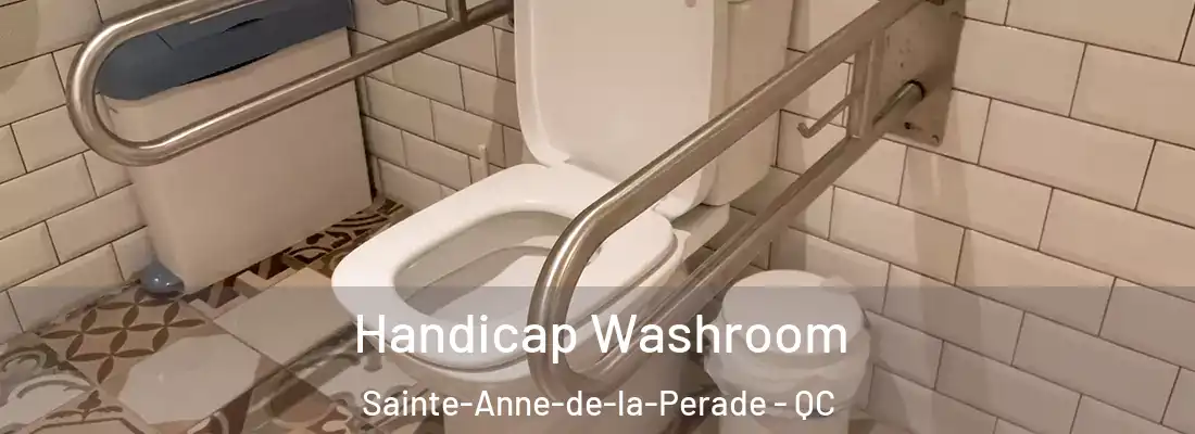  Handicap Washroom Sainte-Anne-de-la-Perade - QC