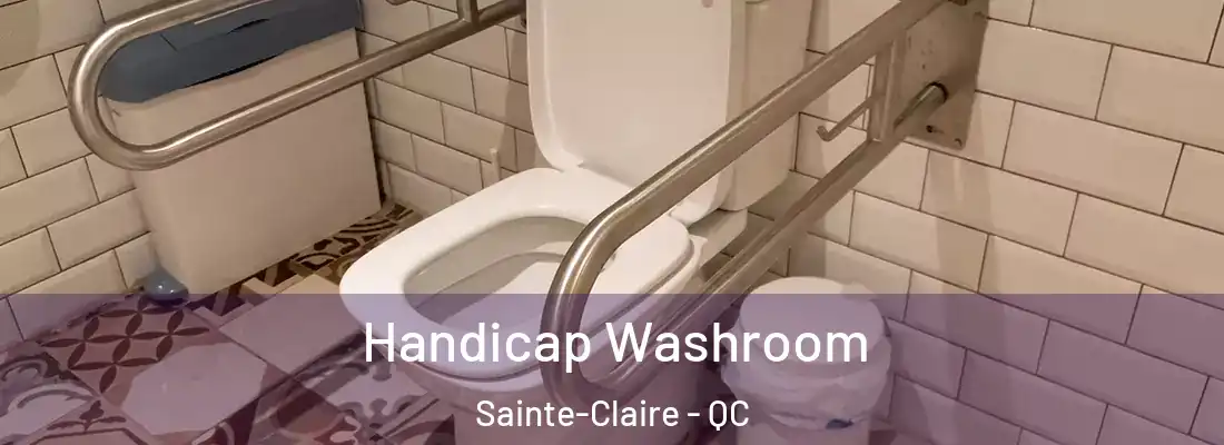 Handicap Washroom Sainte-Claire - QC