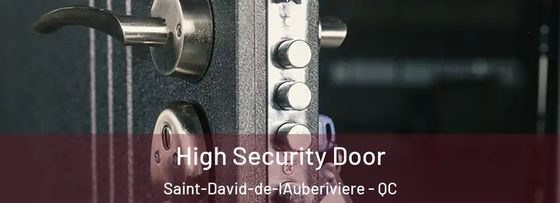  High Security Door Saint-David-de-lAuberiviere - QC