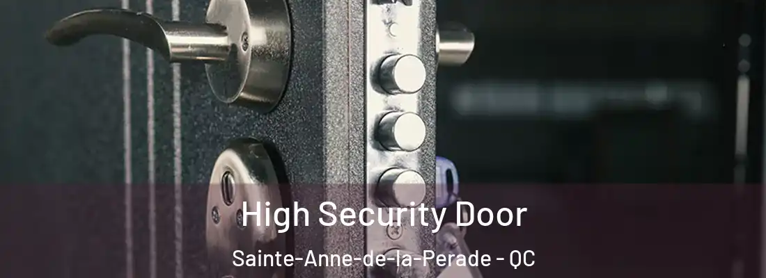  High Security Door Sainte-Anne-de-la-Perade - QC