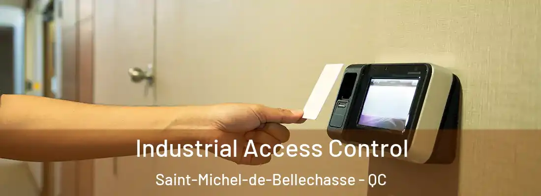 Industrial Access Control Saint-Michel-de-Bellechasse - QC