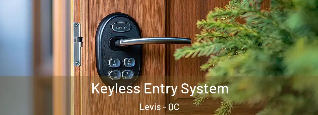  Keyless Entry System Levis - QC