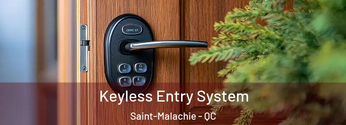  Keyless Entry System Saint-Malachie - QC