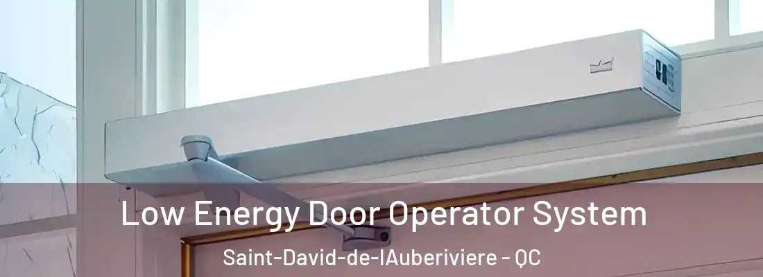  Low Energy Door Operator System Saint-David-de-lAuberiviere - QC