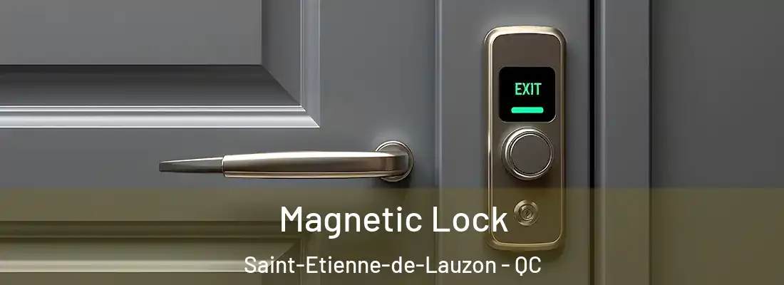  Magnetic Lock Saint-Etienne-de-Lauzon - QC