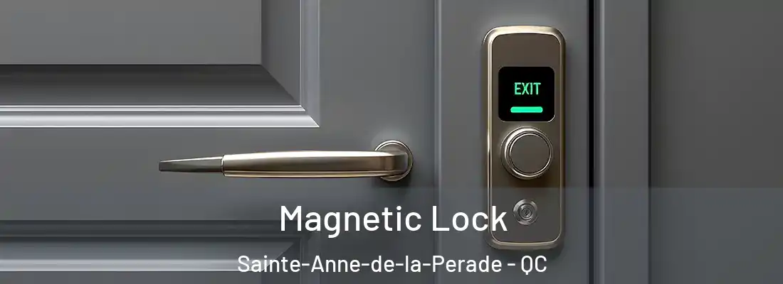  Magnetic Lock Sainte-Anne-de-la-Perade - QC