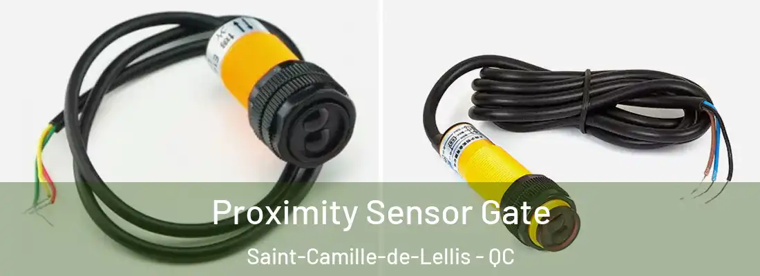  Proximity Sensor Gate Saint-Camille-de-Lellis - QC
