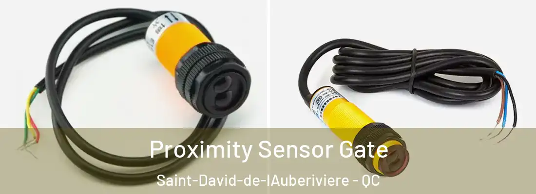  Proximity Sensor Gate Saint-David-de-lAuberiviere - QC