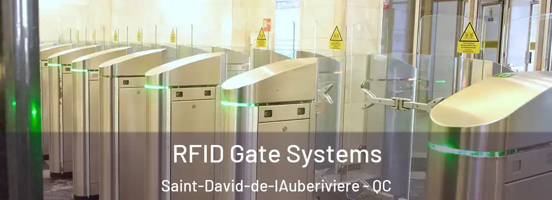  RFID Gate Systems Saint-David-de-lAuberiviere - QC