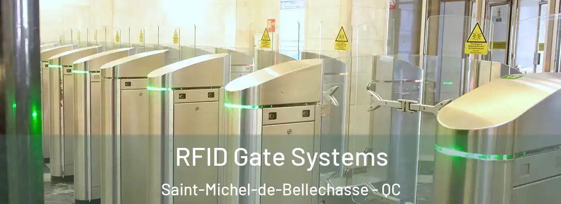  RFID Gate Systems Saint-Michel-de-Bellechasse - QC