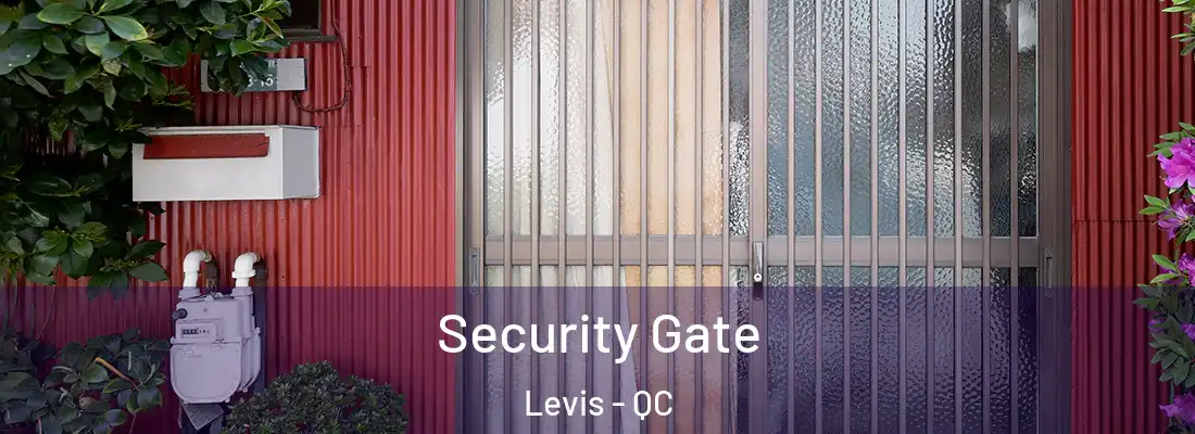 Security Gate Levis - QC