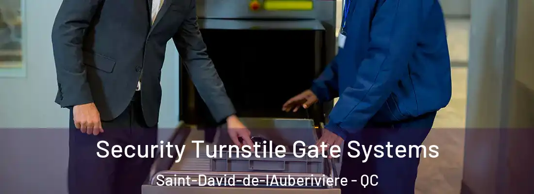  Security Turnstile Gate Systems Saint-David-de-lAuberiviere - QC