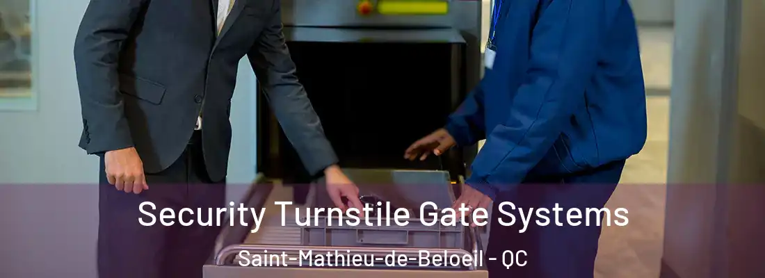 Security Turnstile Gate Systems Saint-Mathieu-de-Beloeil - QC