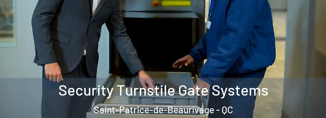 Security Turnstile Gate Systems Saint-Patrice-de-Beaurivage - QC