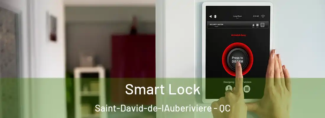  Smart Lock Saint-David-de-lAuberiviere - QC