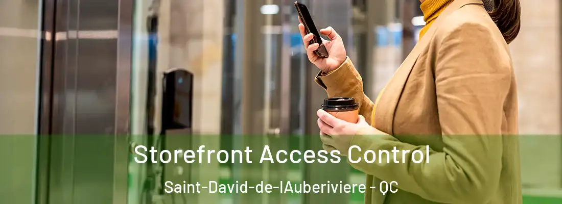  Storefront Access Control Saint-David-de-lAuberiviere - QC
