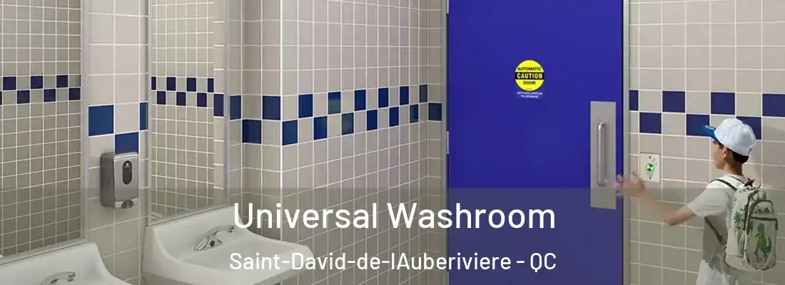  Universal Washroom Saint-David-de-lAuberiviere - QC